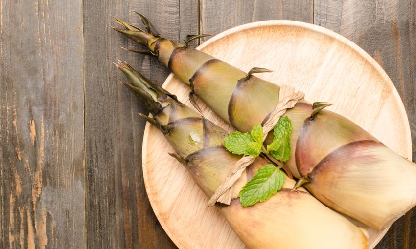 Il bambù in cucina: un viaggio di sapori e benessere