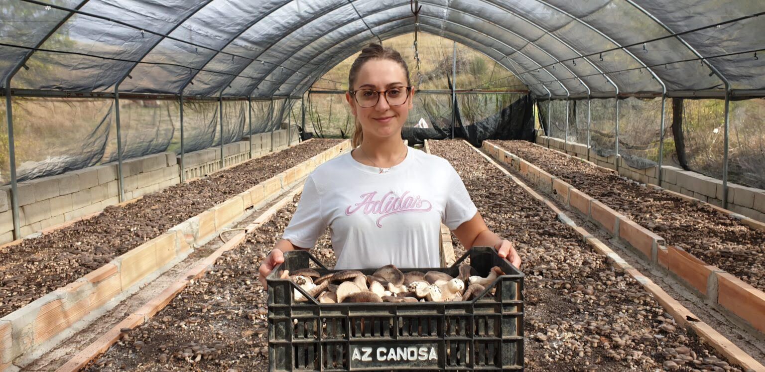 Lucania Funghi: Tradizione, Innovazione e Passione per i Funghi Cardoncelli