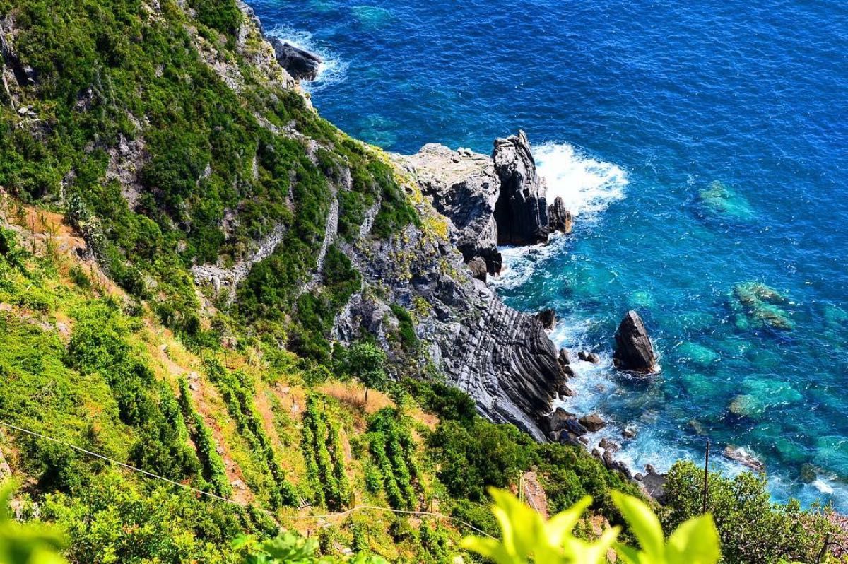 Sciacchetrà delle Cinque Terre: il passito eroico della Liguria