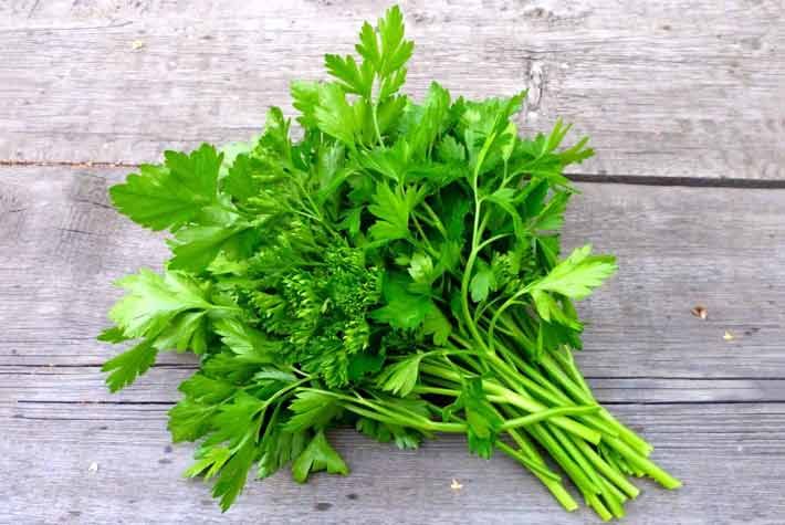 Il prezzemolo: l’erba invisibile che regge due icone della cucina, dal bagnetto verde al tabulè