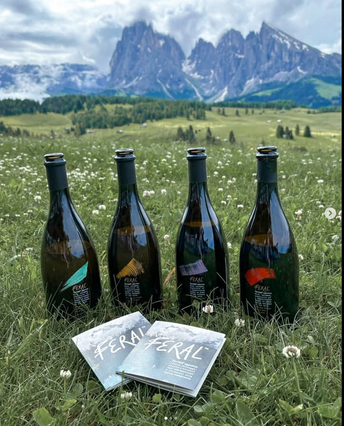 Bevande botaniche fermentate, l'idea di Feral
