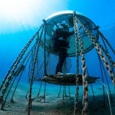 Coltivare sott'acqua si può: visita a Nemo's Garden