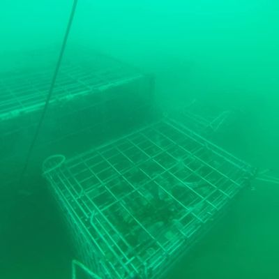 la cesta dei vini in fondo al mare