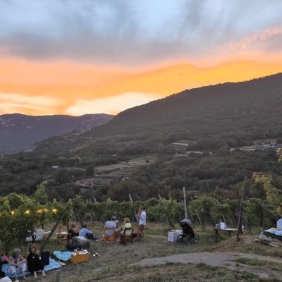 cantina noventa botticino