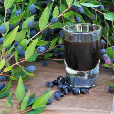 Ancora alla scoperta della Sardegna con il mirto