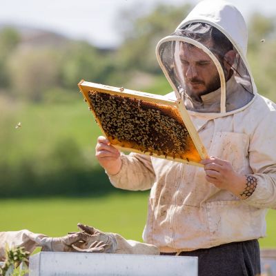 giorgio poeta con le sue api