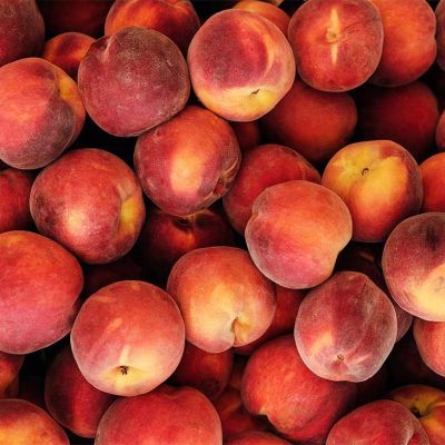 Pesche: il frutto che dall'antica Cina ha conquistato il mondo (e l'Italia)