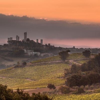 Vernaccia di San Gimignano: il bianco toscano che ha fatto storia