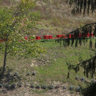 tenuta montemaggiore bologna apicultura