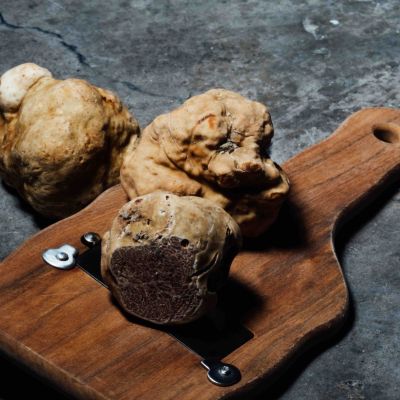 Tartufo bianco d'Alba: il diamante della cucina piemontese