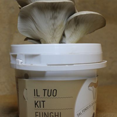 funghi espresso