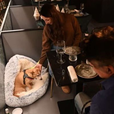 ristorante per cani fiuto a roma 3 1911062