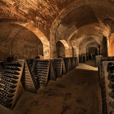 Viaggio nelle cantine Bosca, patrimonio Unesco