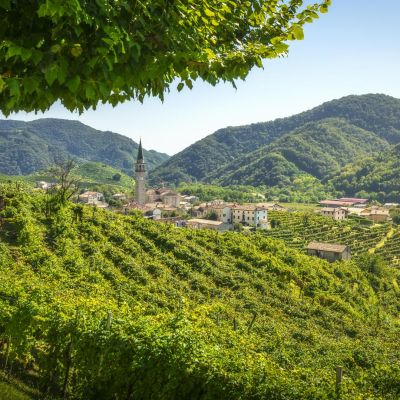 Prosecco DOCG di Valdobbiadene: caratteristiche e curiosità