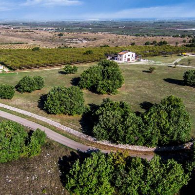 La Fattoria della Mandorla