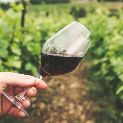 Lambrusco di Sorbara: bollicine rosse tra cucina e festa