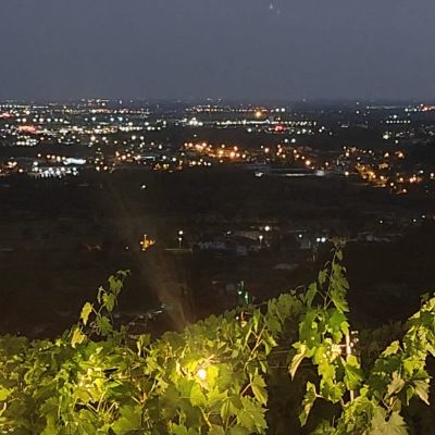 cantine noventa botticino