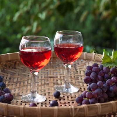 Il vino Primitivo: un viaggio tra i vigneti pugliesi