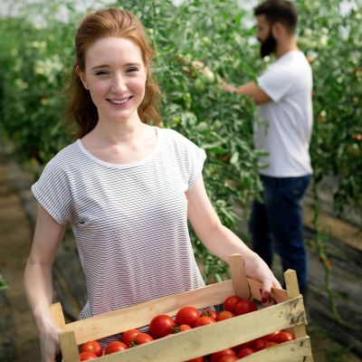 Food, agricoltura e sostenibilità le sfide per un uso razionale delle risorse idriche ed energetiche