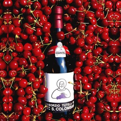 San Colombano DOC: la vigna che Milano non sa di avere