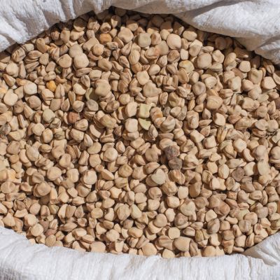 cicerchia
