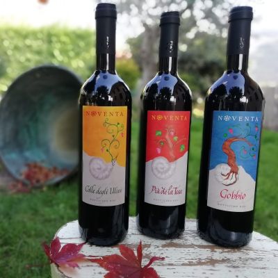 vino noventa botticino