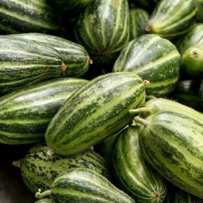 Carosello pugliese: il “falso cetriolo” che in realtà è un melone acerbo