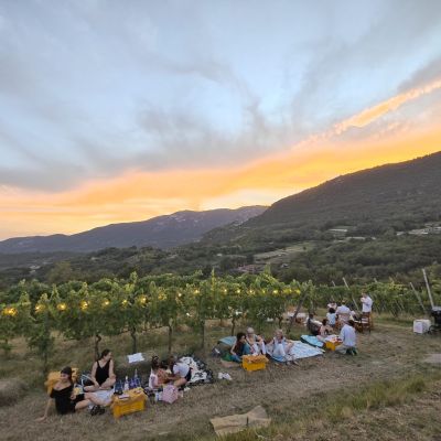 noventa botticino vino