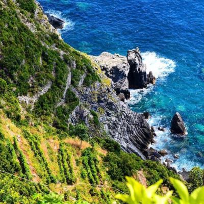 Sciacchetrà delle Cinque Terre: il passito eroico della Liguria