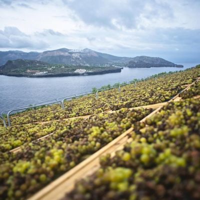 Malvasia delle Lipari: il vino dolce delle isole Eolie