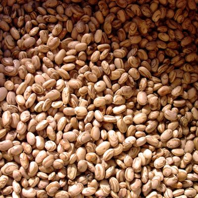 Fagioli di Lamon: storia e tradizione di un prodotto veneto unico