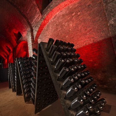 cantine azienda bosca