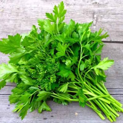 Il prezzemolo: l’erba invisibile che regge due icone della cucina, dal bagnetto verde al tabulè