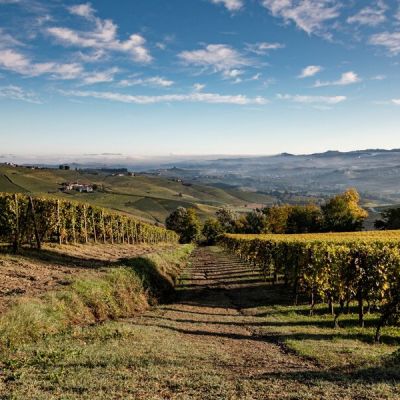 Il Barolo: il vino dei re, il re dei vini