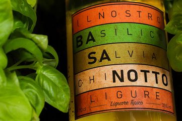Basanotto
